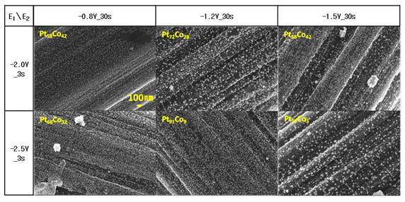 3초간의 Nucleation step과 30초의 growth step 후의 PtCo 촉매 (용액 조성: 2 mM H2PtCl6 + 20 mM CoCl2·6H2O + 0.5 M H2SO4).