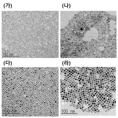 합성된 나노입자의 투과전자 현미경 사진. (가) 3 nm, (나) 5 nm, (다) 6 nm, (라) 9 nm PtZn 나노 입자.