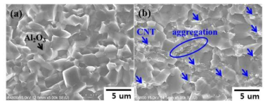 (a) 순수 알루미나 (b) CNT/Al2O3 복합소재