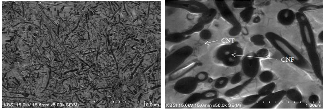 (a) Squeeze infiltration으로 제조한 하이브리드 CNF + CNT/Mg복합재료 SEM 조직 (b) 하이브리드 CNF + CNT/Mg 복합재료 내 CNF 와 CNT 분포