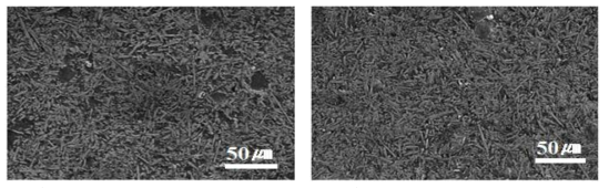 (a) Alborex/AS52 MMCs SEM사진(x1k) (b) Alborex+CNT/AS52 MMCs SEM사진(x1k)