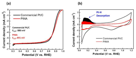 반쪽전지테스트를 통한 상용 Pt/C와 백금나노아키텍처 (PtNA) 촉매특성 분석.