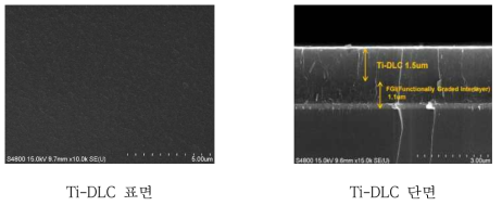 Ti-DLC의 표면 및 단면 SEM 이미지