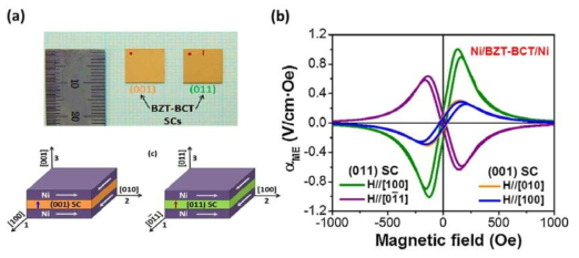 (a) (001), (011)배향의 BZT-BCT 단경정의 실제모습 및 압전모드 비교, (b) 단결정 배향면에 따른 ME 결합계수 측정결과