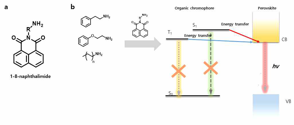 a. 1,8-나프탈이미드의 분자 구조. b.현재 목표로 하고 있는 이미드 기반 유무기 하이브리드 페로브스카이트의 광 물리적 과정