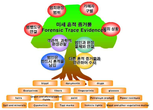 미세 흔적물의 가치 및 법적 효용성