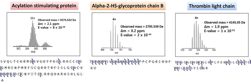 고분해능 질량분석기에 의해서 동정된 endogenous 펩타이드들의 예