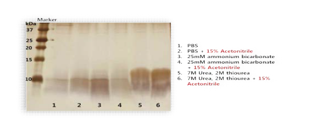 10 kDa molecular weight filter를 이용한 다양한 용액의 조건에서 분리된 펩타이드