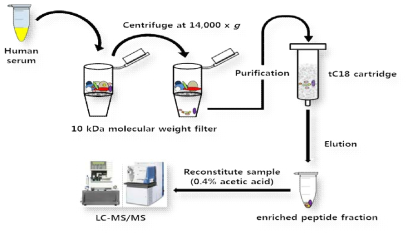 10 kDa molecular weight filter를 endogenous 펩타이드 추출에 대한 workflow