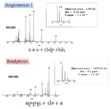 Angiotensin I 과 bradykinin의 질량분석 데이터