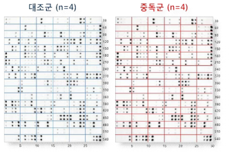 대조군 및 인터넷·게임 중독군의 혈청 시료에 대한 L493 항체 어레이 결과