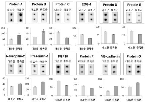 차등발현을 보이는 단백질들의 intensity 측정의 예