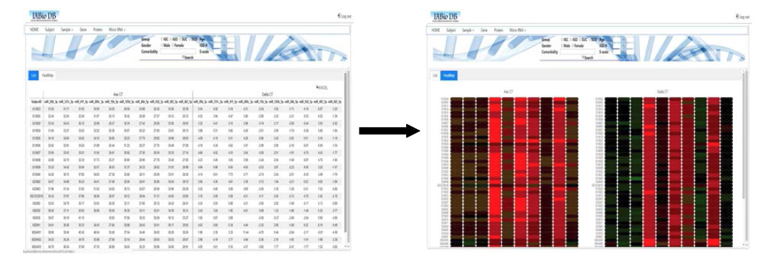 miRNA qPCR 데이터 목록 화면, Heat Map 그래프