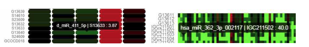 miRNA qPCR, miRNA Array Heat Map 상세보기