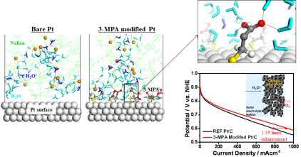 순수 백금 촉매 시스템 (Bare Pt) 과 3-mecaptopropionic acid (3-MPA)가 흡착된 백금 촉매 시스템 내 프로톤 이동 네트워크 및 산소환원반응 활성[4-12]