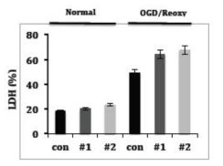 대조군 내피세포(con)과 AKAP12 siRNA 처리군 (#1 또는 #2) 에서 Lactate dehydrogenase (LDH) assay를 통한 cell viability 조사