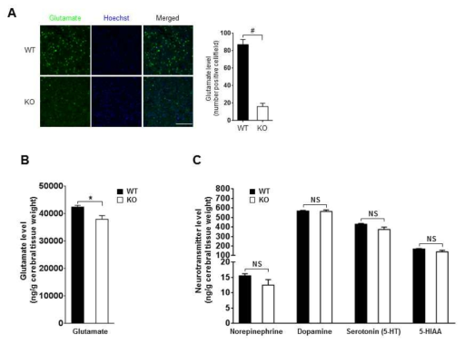 Ninjurin1 KO 마우스의 신경전달물질 변화