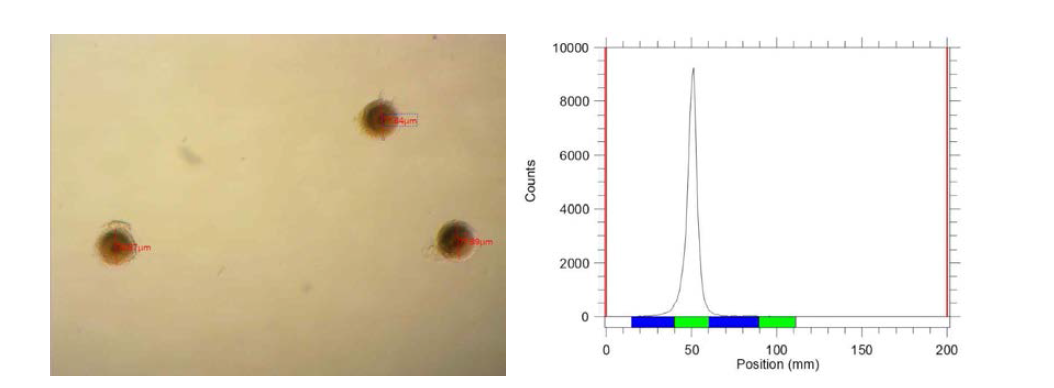 입자 크기 60 ~ 80 μm의 HRD 현미경 사진 (좌) 표지 효율 (우)