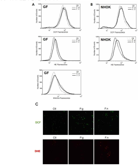 Measurement of ROS by FACS analysis