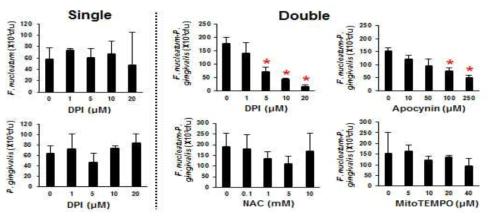 Total numbers of bacteria (F. nucleatum and P. gingivalis) attached to GFs were reduced by NADPH oxidase inhibitors (DPI and apocynin) in a concentration-dependent manner, but were unaffected by a nonspecific ROS inhibitor (NAC) or a specific mitochondrial ROS inhibitor (MitoTEMPO). GFs were pretreated for 1 h with the indicated inhibitor (DPI, apocynin, NAC, or MitoTEMPO) at the indicated concentrations. The pretreated GFs were then infected first with F. nucleatum for 2 h and then with P. gingivalis for an additional 2 h.