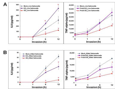 PrdxV의 저발현 및 고발현된 RAW264.7 세 포주에 생(live)균(A) 혹은 사(dead)균(B) 감염시 생 성되는 염증성 사이토카인 의 변화 조사