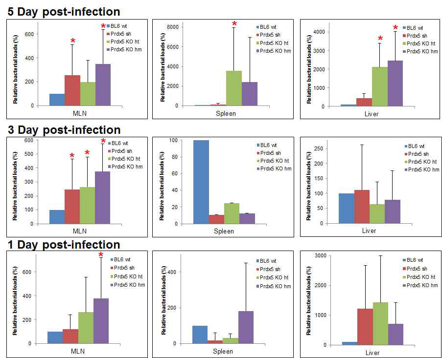 PrdxV KO된 마우스에 살모넬라 감염후 간과 비장 조직 내 균체수