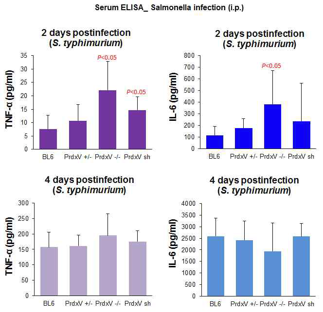 PrdxV KO 마우스에 살모넬라 감염시 혈청내 사이토카인