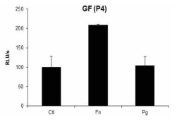 NADPH oxidase activity