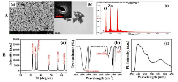 A) 합성된 ZnO의 특성 분석 (a) FESEM 결과, (b) TEM 결과, (c) EDX 결과 B) 합성된 ZnO 나노파티클의 화 학적 특성 분석 (a) XRD, (b) FTIR, (c) room-temperature photoluminescence of ZnO nanoparticles