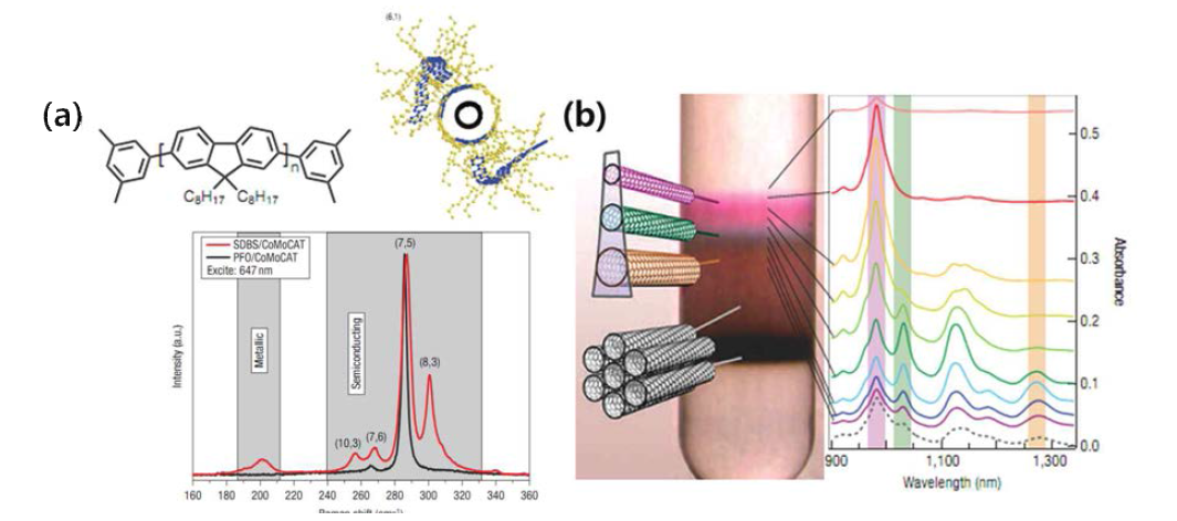 (a) PFO의 화학구조(왼쪽)와 sc-SWCNT를 감싸고 있는 PFO구조의 분자 시뮬레이션, 밑의 그림은 PFO에 분산 되어있는 sc-SWCNT의 Raman spectra이고, 금속성 SWCNT가 제거 된 것을 보여줌. (b) 전기적 특성이 다른 SWCNT를 밀도에 의한 초고속원심분리 방법을 이용 하여 분리한 이미지와 광학흡수 그래프