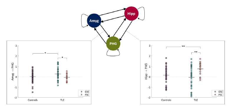 측두엽뇌전증 환자의 intratemporal functional connectivity 비교 결과 TLE 군에서 경련 발작이 잘 조절되는 환자군(good seizure control, GSC)에서는 Amyg→PHG connectivity가 감소 되어 있고, 경련발작이 잘 조절되지 않는 환자군(poor seizure control, PSC)에서는 hippo→PHG connectivity가 비정상적으로 높은 경향을 보임.