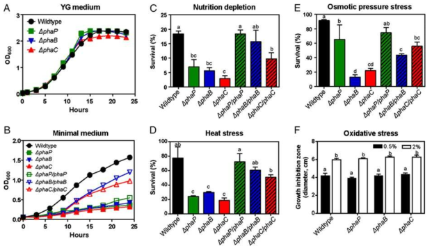 PHA Burkholderia 변이 균주의 외부스트레스에 대한 감수성