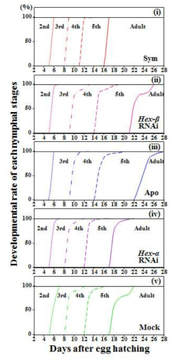 hexamerin-β 유전자의 RNAi에 의한 곤충숙주의 성장 및 발달 속도.