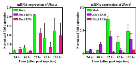 hexamerin-β와 hexamerin-α 유전자의 RNAi 효율 확인.