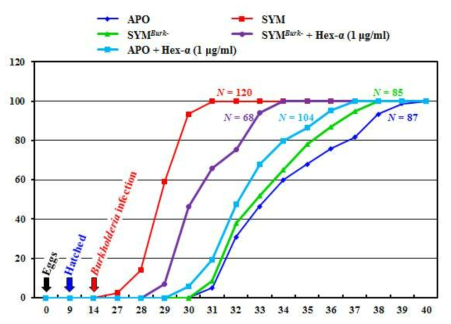 Hexamerin-α 단백질의 경구 감염에 따른 곤충숙주의 성장속도 비교
