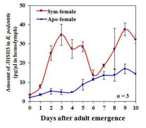 SYM과 APO 암컷성충에서의 JHSB3 합성량.