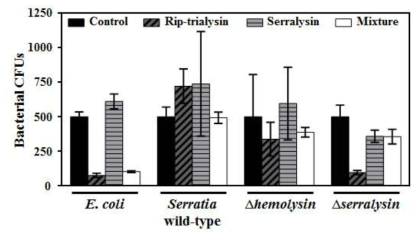 Serralysin에 의해 잘려진 trialysin-like peptide의 항균활성 비교.