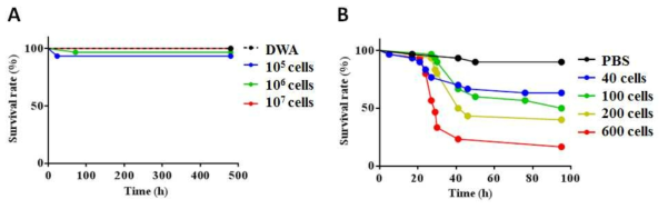 Serratia DB11균주의 (A) 경구 감염과 (B) 주사 감염에 따른 곤충숙주의 생존률.