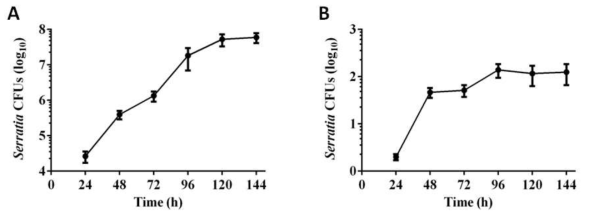 곤충숙주의 (A) M3에서와 (B) hemolymph내에서의 Serratia 균주의 서식밀도.