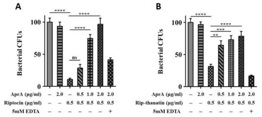 Pseudomonas 균주의 독성물질인 AprA에 의한 (A) 곤충숙주 유래의 항균 펩타이드인 riptocin과 (B) rip-thanatin의 항균 활성