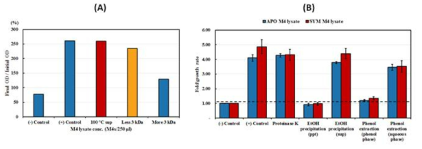 (A) 열처리와 cut-off 및 (B) 단백질분해효소, 에탄올 침전법과 페놀분리에 따른 특성 분석.
