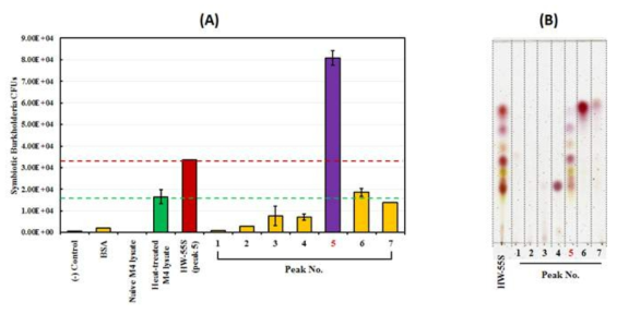 (A) 성장물질의 정제를 위한 bio assay와 (B) ninhydrin assay.