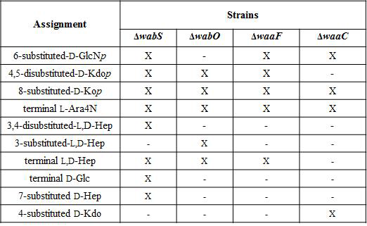 △wabS, △wabO, △waaF 그리고 △waaC core OS Burkholderia 변이 균주의 LPS 비교