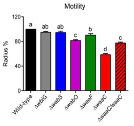 core OS Burkholderia 변이 균주의 운동성.