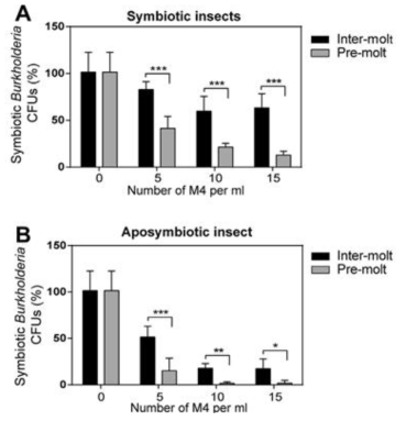 (A) 공생균을 가지고 있는 SYM 곤충과 (B) 공생균을 가지고 있지 않은 APO 곤충의 M4 crypt추출물의 항균 활성