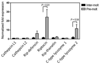 Pre-molt시기의 M4에서 발현되는 mRNA 비교.