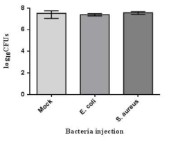 외래병원체의 주사 감염에 따른 공생기관인 M4에서의 장내 공생균 서식밀도 변화.