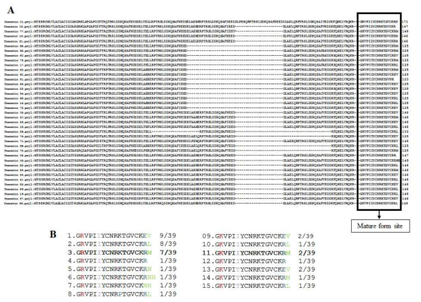 (A) Rip-thanatin 전구체 및 (B) 활성형의 아미노산 서열