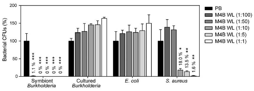 M4B추출물에 대한 장내 공생균인 symbiotic Burkholderia 및 실험실에서 배양한 cultured Burkholderia 균주의 감수성 차이