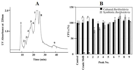 (A) M4B추출물의 chromatography 패턴과 (B) 배양 공생균인 cultured Burkholderia와 장내 공생균인 symbiotic Burkholderia에 대한 구간별 항균 활성